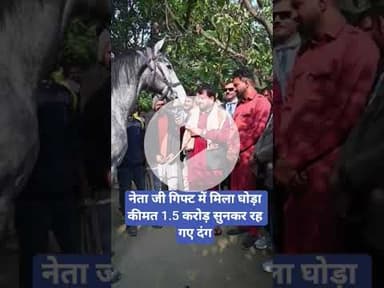 नेता जी गिफ्ट में मिला घोड़ा कीमत 1.5 करोड़ सुनकर रह गए दंग