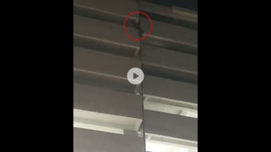 राऊ: राजेंद्र नगर में कर्ज से परेशान छात्र ने 7वीं मंजिल से कूदने की कोशिश की, पुलिस ने बचाया