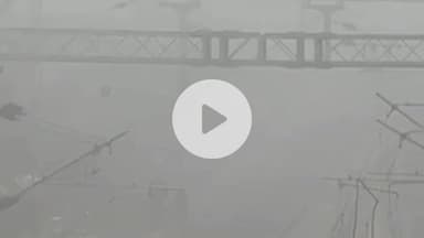 फूलपुुर: प्रयागराज में मौसम में बदलाव से घना कोहरा, जनजीवन प्रभावित