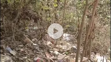 रामनगर: रामनगर तहसील अंतर्गत हरि नारायणपुर के पास अवस्थी ढाबा के पीछे दो विशाल अजगर देखे गए, मचा हड़कंप, वीडियो वायरल