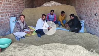 विदिशा नगर: केंद्रीय मंत्री शिवराज सिंह चौहान के फार्म हाउस के पास घाट पिपरिया में किसान के फार्म हाउस से फसल चोरी