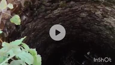 बड़ौदा: बड़ौदा में राजा जी के किले के पास कुएं में गिरा बछड़ा, गौसेवकों ने किया रेस्क्यू