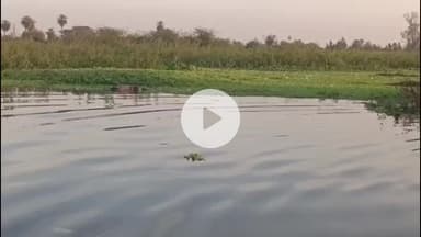 लाडपुरा: कोटा के कैथून थाना क्षेत्र के उम्मेंदगंज तालाब में मिला अज्ञात व्यक्ति का शव, गोताखोरों ने शव निकालकर पुलिस को सौंपा