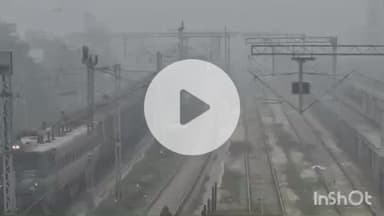 आरा: पूरे भोजपुर जिले में कोहरे का कहर, कड़ाके की ठंड पड़ रही है