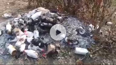 बांसजोर: बरडेगा कादोपानी सड़क किनारे जंगल में मिली पशु उपचार से सम्बंधित अधजली दवाइयां, क्षेत्र में चर्चा