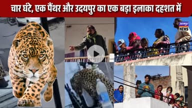 चार घंटे, एक पैंथर और उदयपुर का एक बड़ा इलाका दहशत में