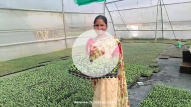 हज़ारीबाग: ग्रामीण महिलाएं स्वयं सहायता समूहों से जुड़कर बनीं आत्मनिर्भर