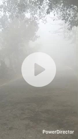 बछवारा: घने कोहरे से लोगों का जीवन अस्त-व्यस्त