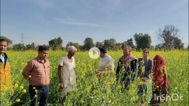 भीलवाड़ा: भीलवाड़ा में कृषि अधिकारियों ने आधा दर्जन गांवों का दौरा किया, सरसो की फसल में मोयला के प्रकोप पर कीटनाशक का छिड़काव