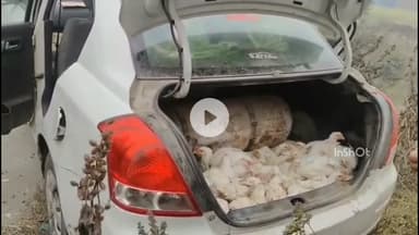 सफीपुर: सफीपुर में 36 मुर्गियां चोरी करने वाले चोर को गिरफ्तार किया गया, पुलिस ने स्विफ्ट डिजायर कार भी पकड़ी