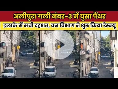 अलीपुरा गली नंबर-3 में घर में घुसा पैंथर, इलाके में मची दहशत, वन विभाग ने शुरू किया रेस्क्यू