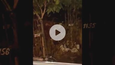 पुनासा: ओंकारेश्वर में शंकराचार्य स्थल के पास तेंदुआ दिखने से हड़कंप, लोगों से सतर्क रहने की अपील