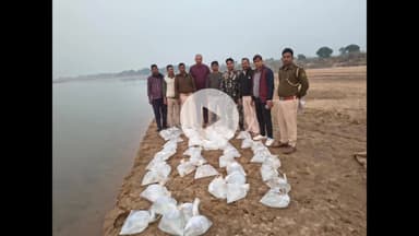 नबीनगर: नबीनगर थाना की बड़ी कार्रवाई, सोन दियरा से 300 लीटर देशी महुआ चुलाई शराब की गई जब्त