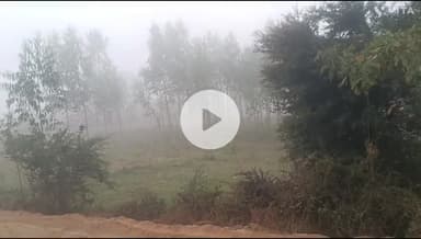 बलरामपुर समाचार अवेध मिट्टी का खनन जारी गंगापुर ग्राम पंचायत शेखपुर सुभागपुर बुद्धनगर मार्ग केंद्रीय विद्यालय मार्ग बना