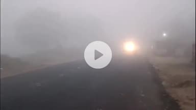 बख्तियारपुर: बख्तियारपुर में घने कोहरे से जनजीवन अस्त-व्यस्त, इंडिकेटर के सहारे चले वाहन