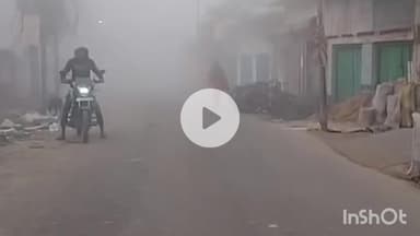 मुंगेर: मुंगेर जिले में छाया घना कोहरा, दृश्यता 20 मीटर तक सिमटी