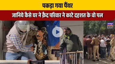 पकड़ा गया पैंथर, जानिये कैसे घर ने क़ैद परिवार ने काटे दहशत के वो पल