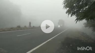 मालथोन: मालथौन में सर्दी का सितम, हाईवे पर घने कोहरे के कारण रेंगते दिखे वाहन
