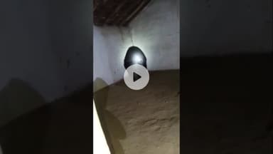 सिवनी में घर मे घुसा भालू