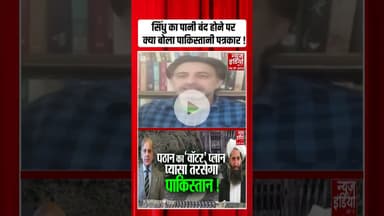 सिंधु का पानी बंद होने पर क्या बोला पाकिस्तानी पत्रकार ! #ytshorts #sheikhhasina #bangladeshprotest