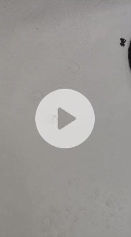 भीलवाड़ा: लेबर कॉलोनी में दूषित पेयजल आपूर्ति को लेकर लोगों में भारी आक्रोश, जलदाय विभाग के खिलाफ जताई नाराजगी