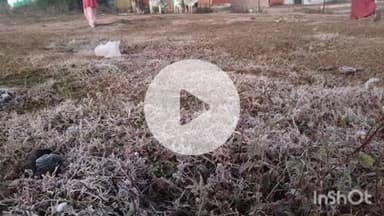 पुष्पराजगढ़: अमरकंटक में तापमान 5 डिग्री सेल्सियस तक गिरा, ओस की बूंदें जमीं