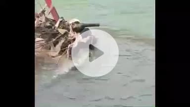 हरिद्वार: बैरागी कैंप में गंगा के बीच लगी सेफ्टी रेलिंग में फंसा महिला का शव, शव मिलने से मची सनसनी, पुलिस जांच में जुटी