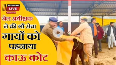 सुशासन सप्ताह के शुभारंभ पर कन्नौज में गौ सेवा😱 जेल अधीक्षक भीमसेन मुकुंद ने गायों को पहनाए काऊ कोट