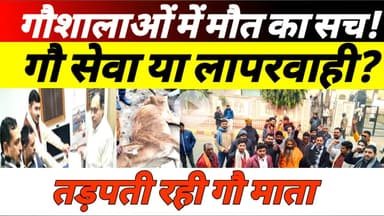 घासीपुर गौशाला की हालत पर हंगामा, भगवा वाहिनी गौसेवा मिशन ने दी आंदोलन की चेतावनी #gausala #upnews