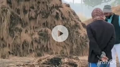 डुमरांव: नेनुआ गांव में असामाजिक तत्वों ने किसान के धान के बोझे में लगाई आग, थाने में आवेदन