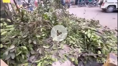 डुमरांव: नया भोजपुर प्रशाखा में विद्युत आपूर्ति हेतु पेड़ों की छंटनी शुरू, आगजनी की घटनाओं पर लगेगी लगाम