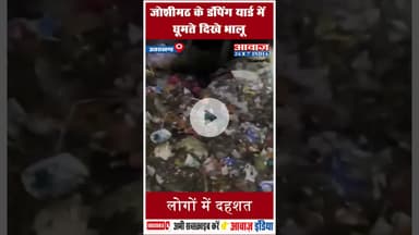 जोशीमठ के डंपिंग यार्ड में घूमते दिखे भालू, लोगों में दहशत #Joshimath #BearDanger #uttarakhand