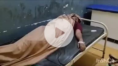 बांदा: छिबांव गांव में खेत से घर लौट रहे युवक को मधुमक्खियों ने बेरहमी से काटा, युवक की हालत बिगड़ी