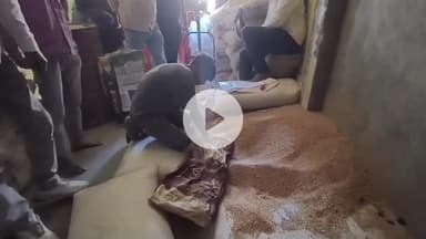 बीना: बरदौरा शासकीय राशन दुकान में खराब अनाज का वितरण, एसडीएम ने दिए कार्रवाई के निर्देश