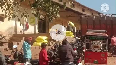 पिछोर: पिछोर खाद गोदाम में सैकड़ों किसानों को मिला खाद, टोकन धारकों को लगभग 700 बोरियों का हुआ वितरण