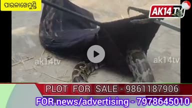 ଶ୍ୟାମ ବିହାର ଅଞ୍ଚଳରେ ଏଗାର ଫୁଟିଆ ଅଜଗର ସାପ ଉଦ୍ଧାର