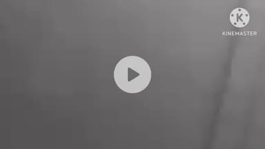 पानीपत: पानीपत के सामान्य अस्पताल में कर्मचारियों ने मरीज के साथ की बदसलूकी, वीडियो वायरल