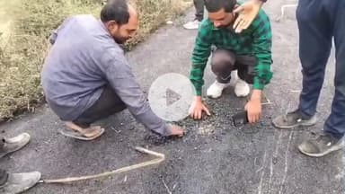 बस्ती: नाऊडाड को जोड़ने वाली सड़क के गुणवत्ताविहीन निर्माण से ग्रामीणों में आक्रोश, जांच की मांग