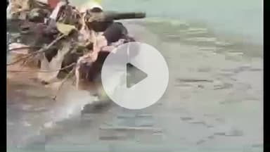 हरिद्वार: कंकाल क्षेत्र में गंगा से बरामद युवती के शव की हुई शिनाख्त, मृतक दीपांशी सोनीपत, हरियाणा की रहने वाली थी