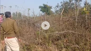 पन्ना: पन्ना के जंगलों में 'पीला पंजा': सलेहा रेंज में वन विभाग का बड़ा एक्शन, 3 हेक्टेयर भूमि अतिक्रमण से मुक्त!