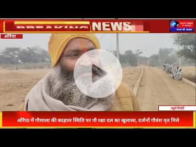 औरैया की गौशाला में मृत गायें! सरकार पर गंभीर लापरवाही का आरोप