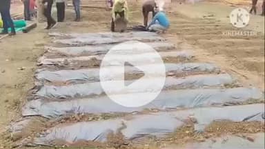 बक्सर: बक्सर बजाज समिति परिसर में कृषि प्रदर्शनी मेले की तैयारी पूरी, किसानों को मिलेगी उन्नत कृषि की जानकारी