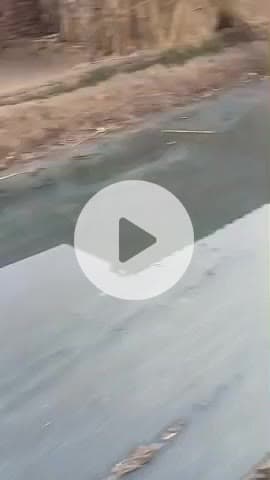 ग्राम नगला मानसिंह जसराना जिला फिरोजाबाद #short#viral