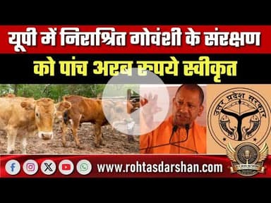 यूपी में निराश्रित गोवंशी के संरक्षण को पांच अरब रुपये स्वीकृत, इन जिलों को मिलेगा फायदा