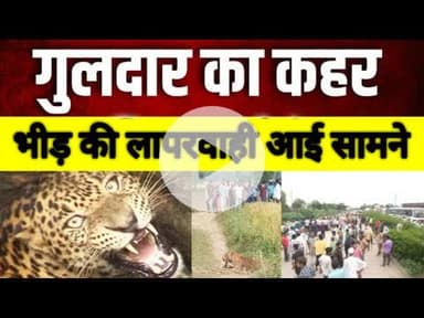 रुड़की के पास मिला गुलदार बना सनसनी रहे सावधान,गुलदार के रेस्क्यू  के दौरान भीड़ की लापरवाही ***