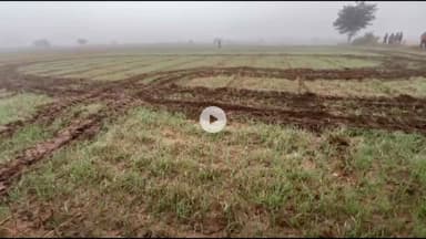 शिवपुरी: सिलानगर गांव में वन विभाग की कार्रवाई, 300 बीघा वनभूमि अतिक्रमण मुक्त, किसान की निजी फसल उजाड़ने पर विवाद