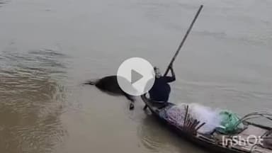 मुंगेर: कष्टहरणी घाट के पास पानी में मृत गाय फेंकी गई, यातायात डीएसपी प्रभात रंजन ने तत्परता से हटवाई