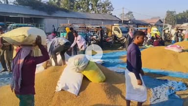 🔴 কলগাছিয়াত ঋণ লৈ ধান খেতি কৰি বিপদত কৃষক।

🔴 বজাৰত ধানৰ উচিত মূল্য নাপায় হাহাকাৰ কৰিব লগীয়া হৈছে সাধাৰণ কৃষক।