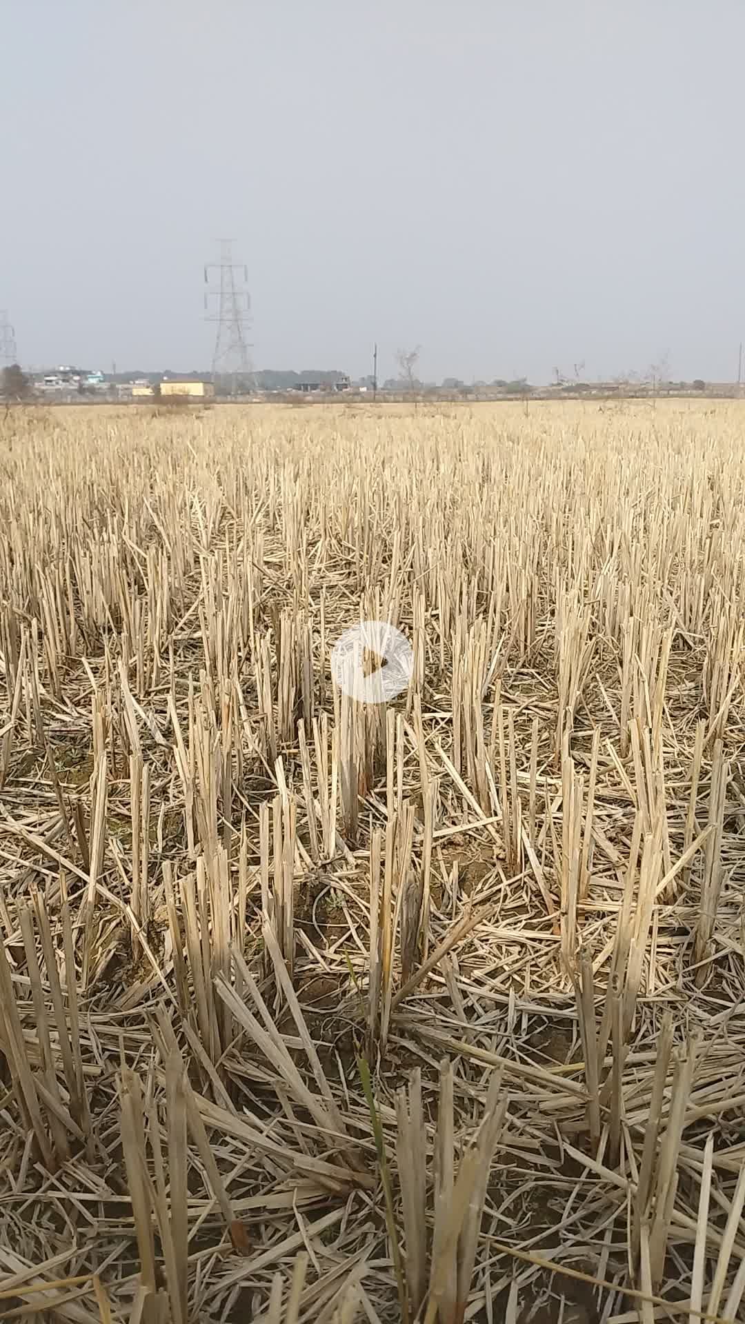 12345681!३४५#_७८१बीबीटीडी@