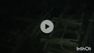 मुंगेर: लकड़ी तस्करी रोकने गई वन टीम पर पथराव, चार वनकर्मी घायल, विभागीय वाहन क्षतिग्रस्त